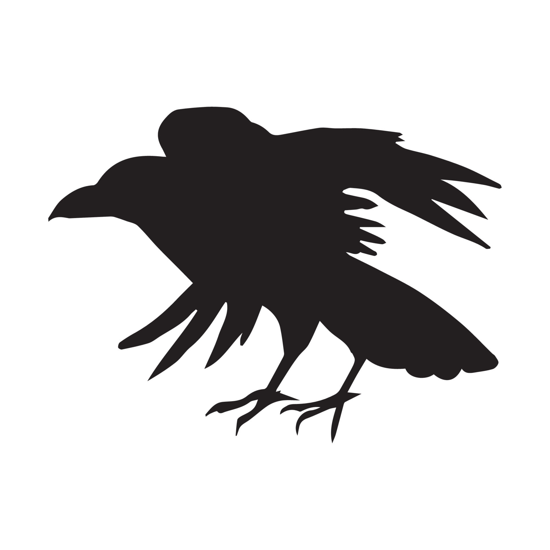 Fågeln med <strong>raven</strong>